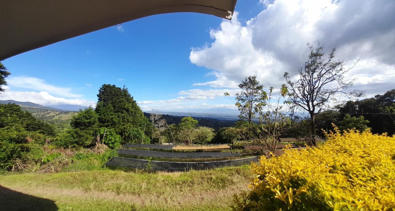 Skyline Great View Naranjo (Alajuela) Exterior photo